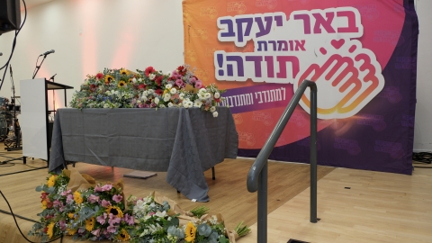 11-DSCF9495.jpg